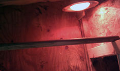 arduino-chicken-coop-interior-heat-lamp-slideshow-sm