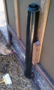 Automatic Chicken Feeder - Installed - top/side view
