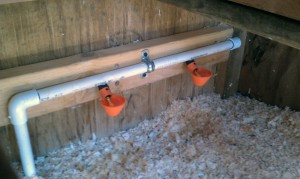 Chicken Coop Automatic Watering System - Poultry Cups