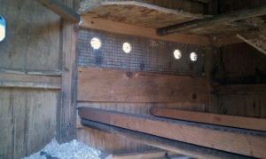 Chicken Coop Interior Vents (rear)