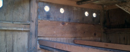 Chicken Coop Interior