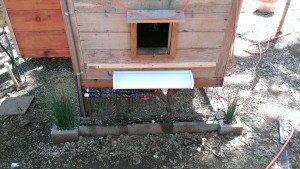 Chicken Coop Heater - Exterior Pipe Protection